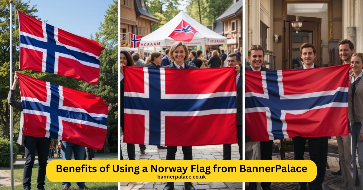 Norway flag